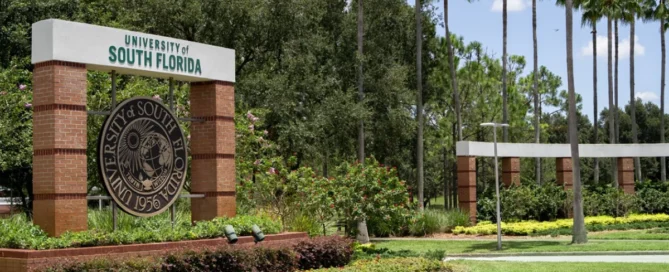 University of South Florida