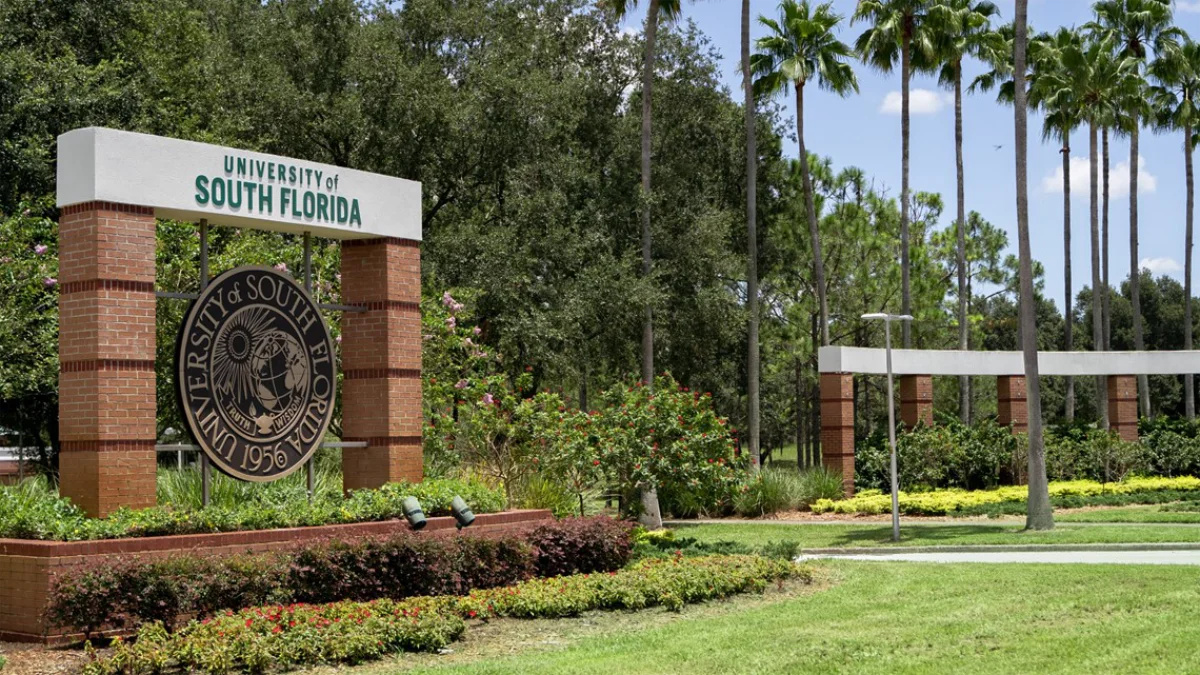 University of South Florida University of South Florida